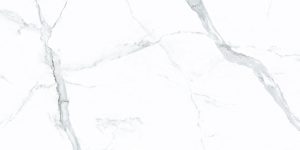 Statuario Grey